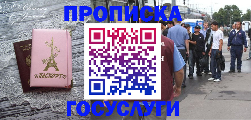 прописка в Шебекино